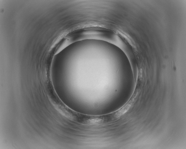 X0000070410158200606091200