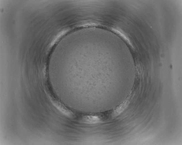 X0000070410159200606091200