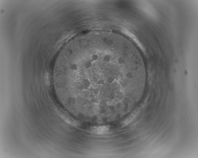 X0000070410161200606091200