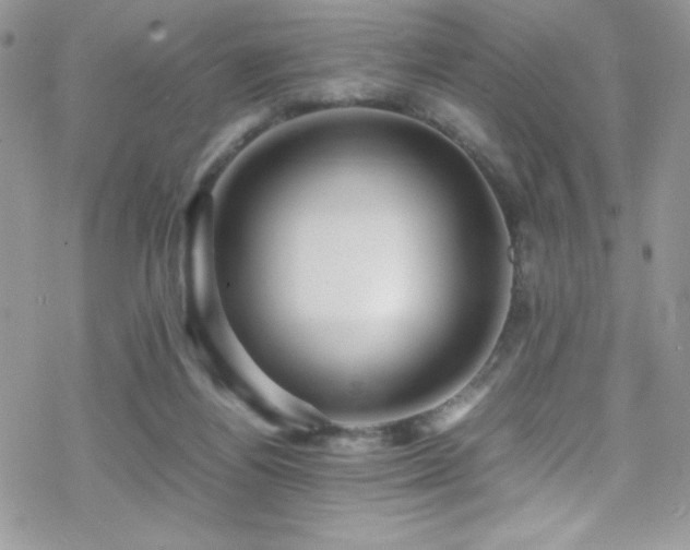 X0000070410164200606091200