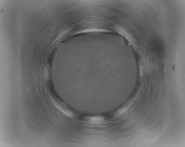 X0000070410165200606091200