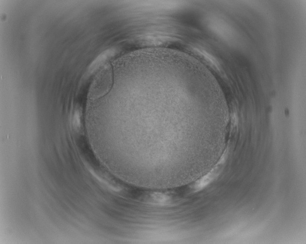 X0000070410166200606091200