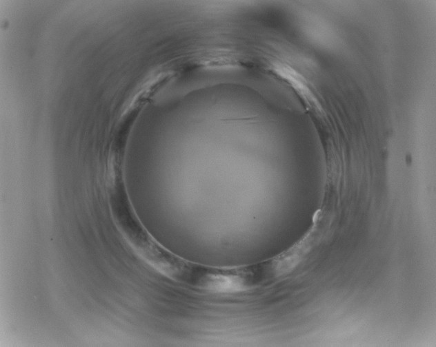 X0000070410167200606091200