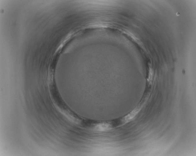 X0000070410168200606091200