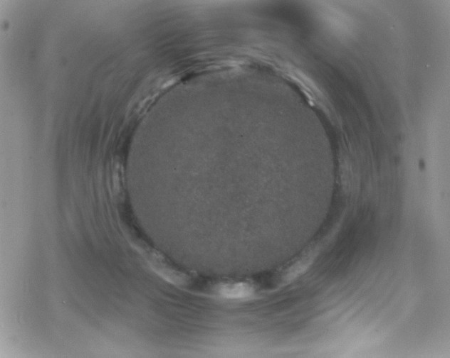 X0000070410169200606091200