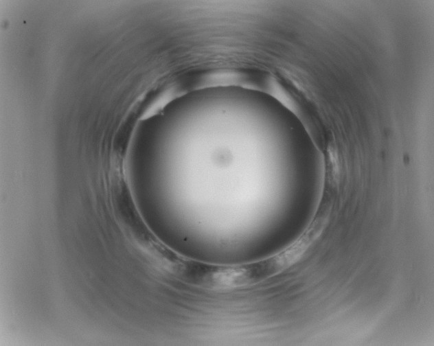 X0000070410172200606091200