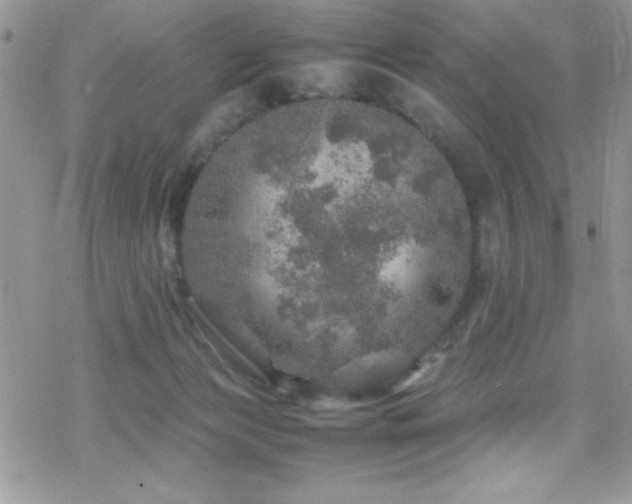 X0000070410173200606091200