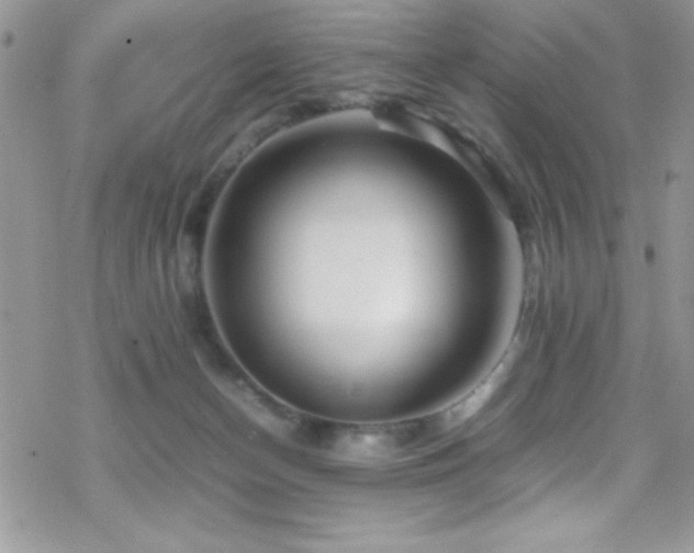 X0000070410174200606091200