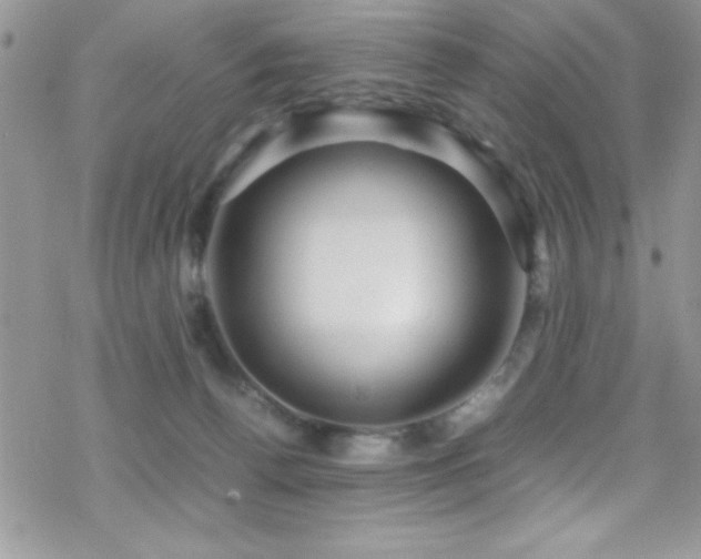 X0000070410176200606091200