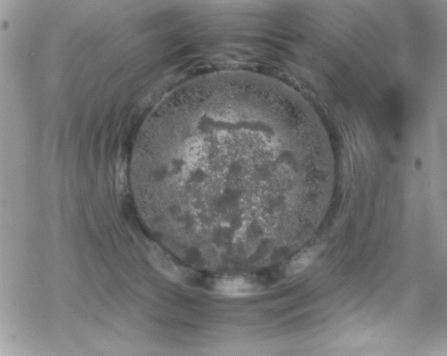 X0000070410177200606091200