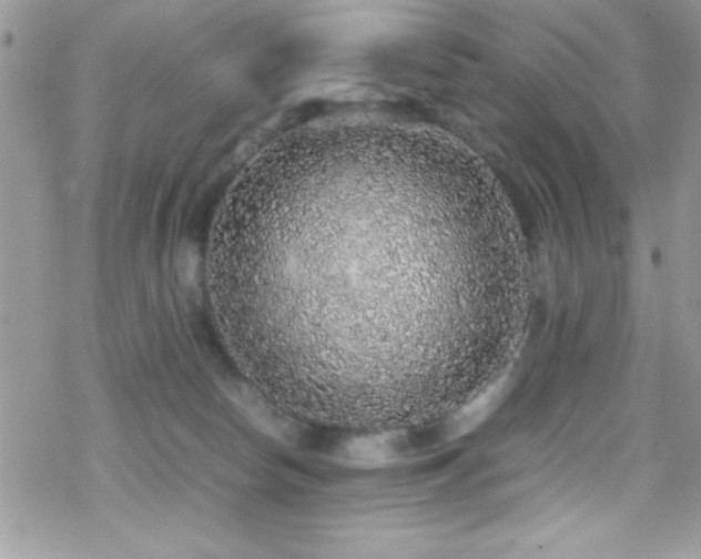 X0000070410178200606091200