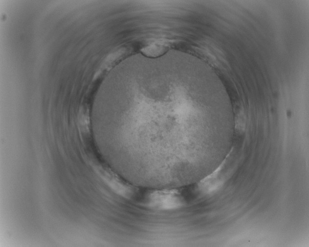 X0000070410179200606091200