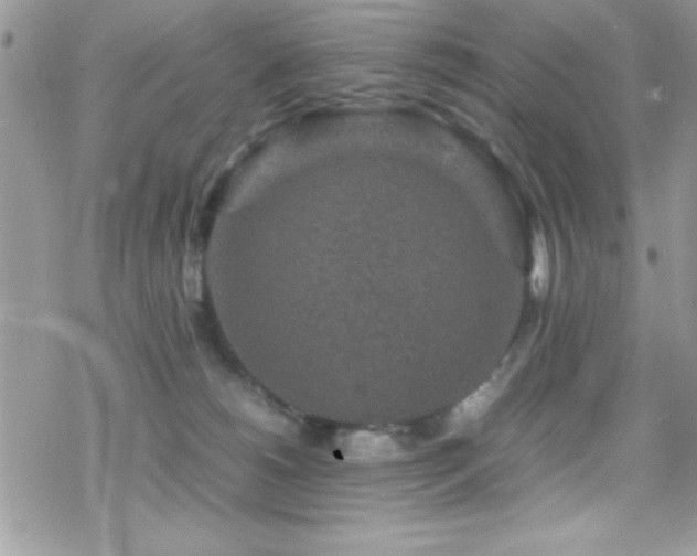 X0000070410180200606091200