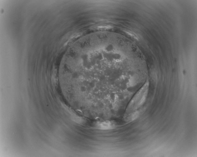 X0000070410181200606091200