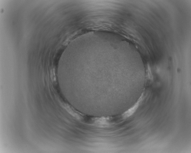 X0000070410182200606091200