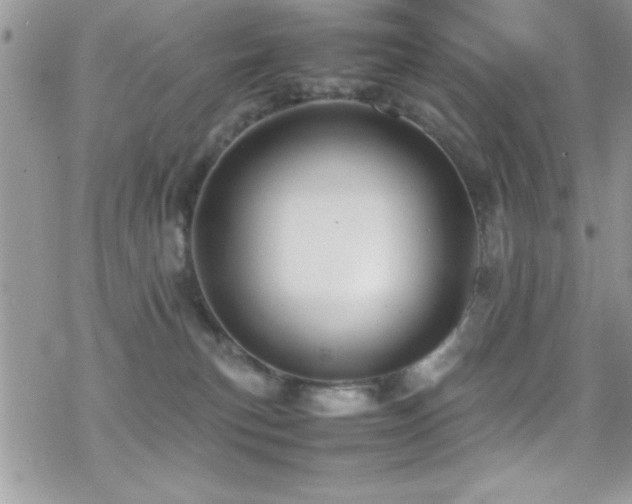 X0000070410183200606091201