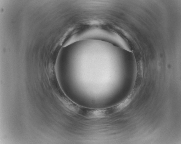 X0000070410184200606091201