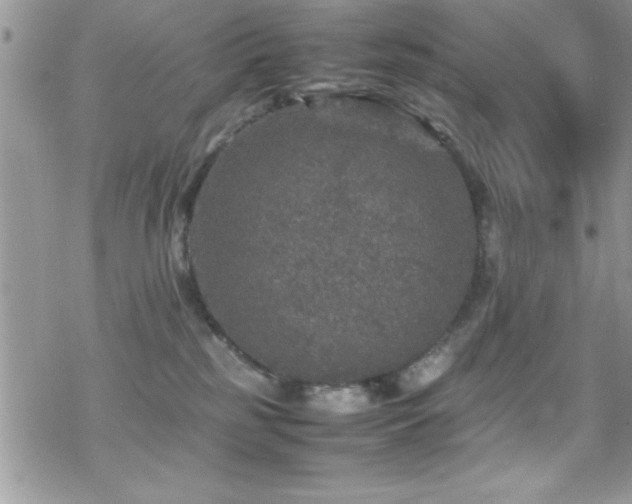 X0000070410185200606091201