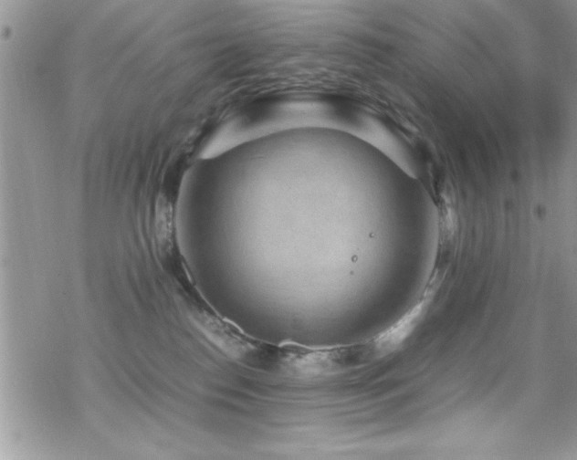 X0000070410186200606091201