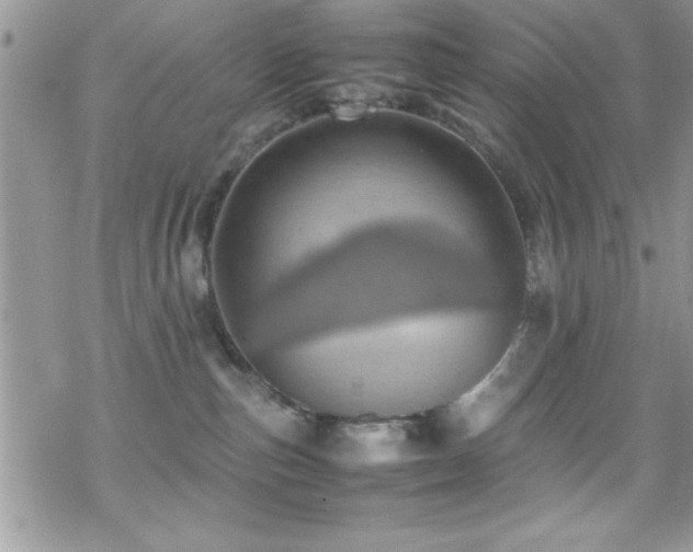 X0000070410187200606091201