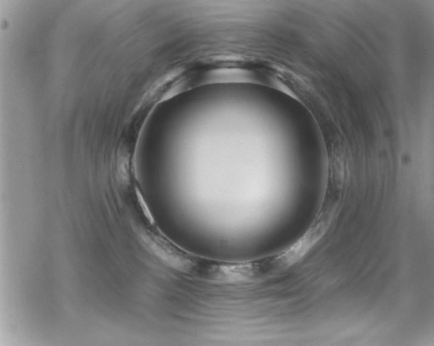 X0000070410188200606091201