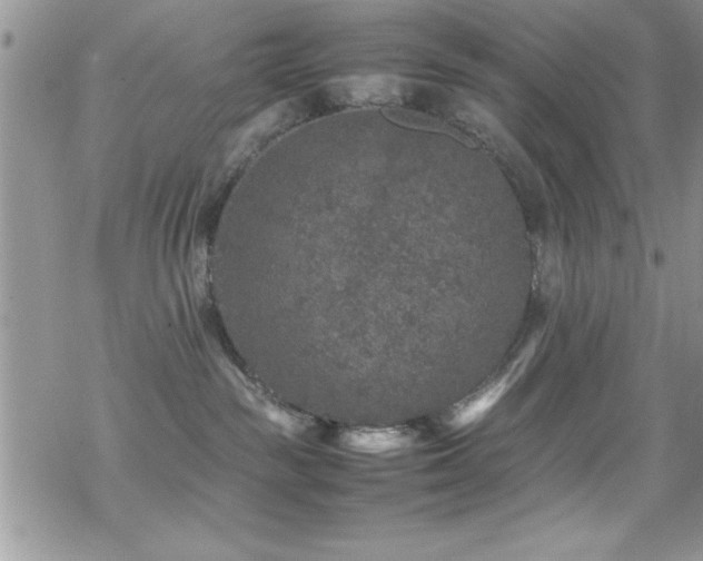 X0000070410189200606091201