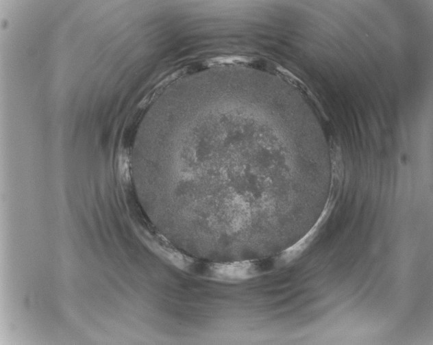 X0000070410191200606091201