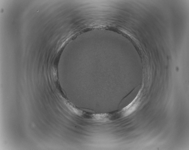 X0000070410192200606091201