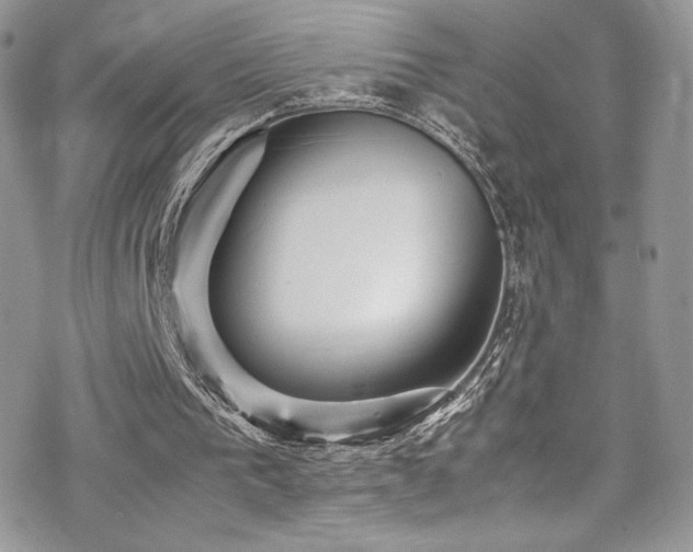 X0000070410193200606091200