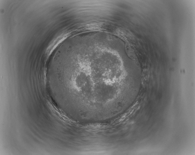 X0000070410194200606091200