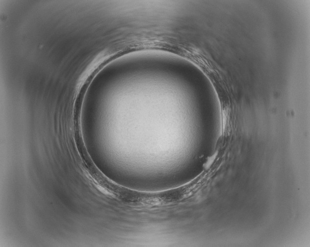 X0000070410195200606091200