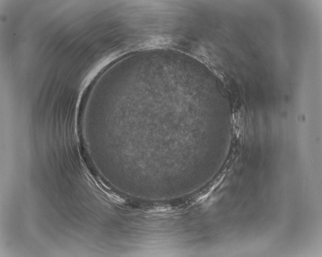 X0000070410196200606091200