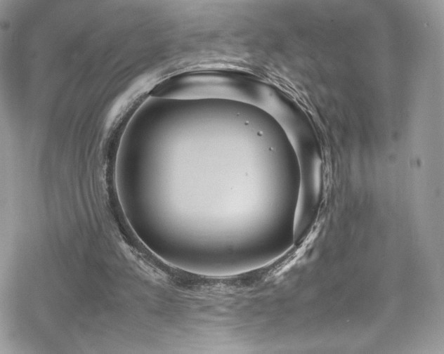 X0000070410197200606091200