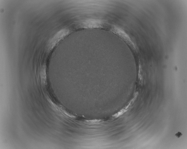 X0000070410202200606091200