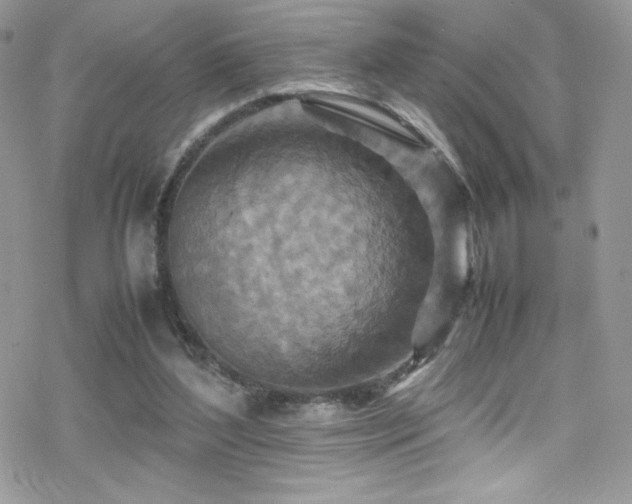 X0000070410204200606091200