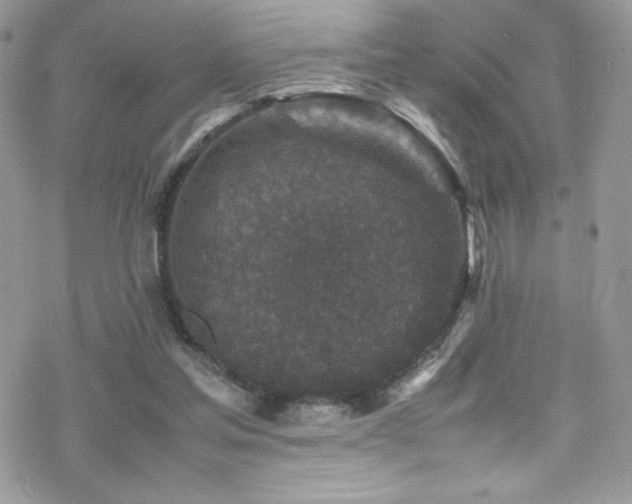 X0000070410205200606091200