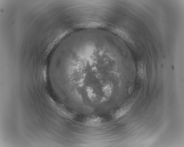 X0000070410206200606091200