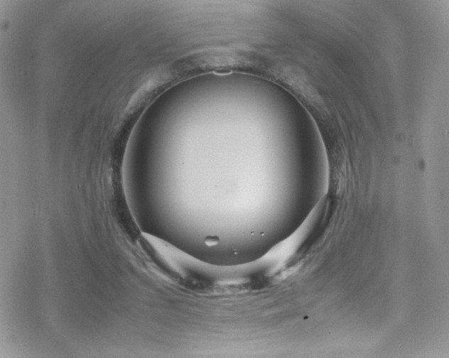 X0000070410207200606091200