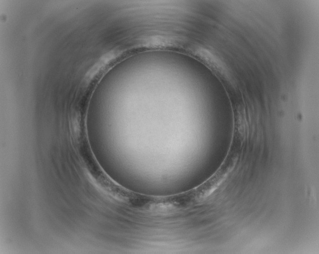 X0000070410208200606091200