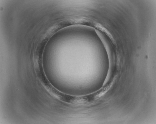 X0000070410209200606091200