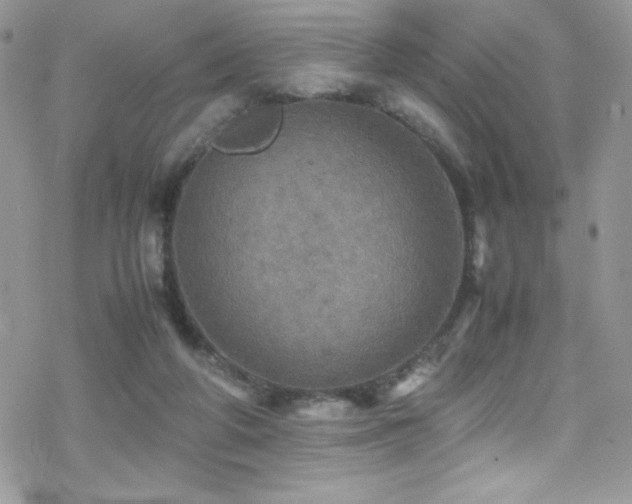 X0000070410210200606091200