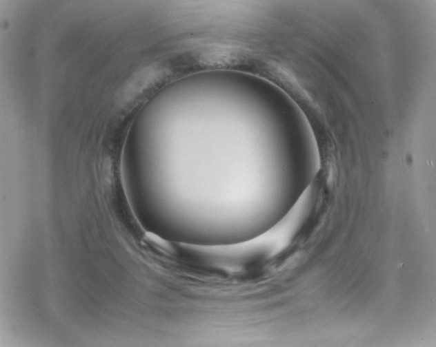 X0000070410211200606091200