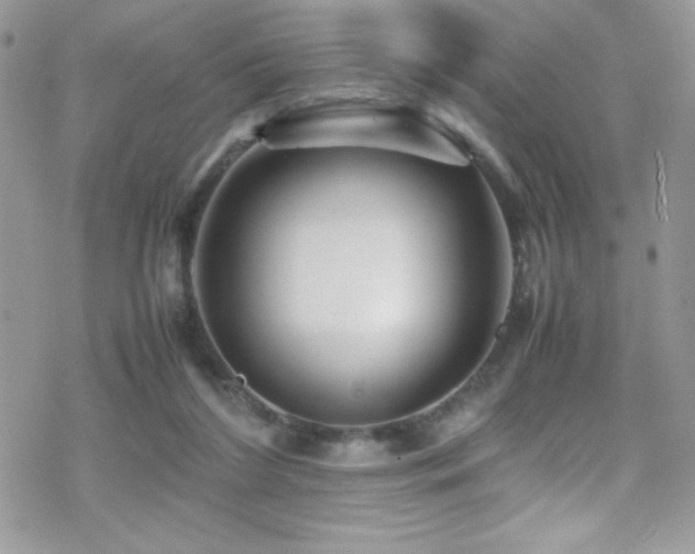 X0000070410212200606091200