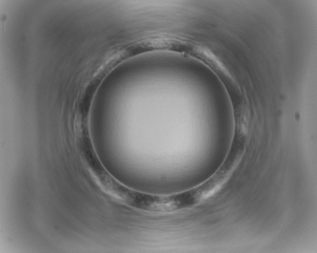 X0000070410213200606091200