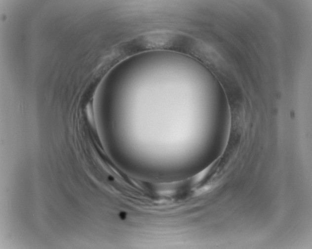 X0000070410215200606091159