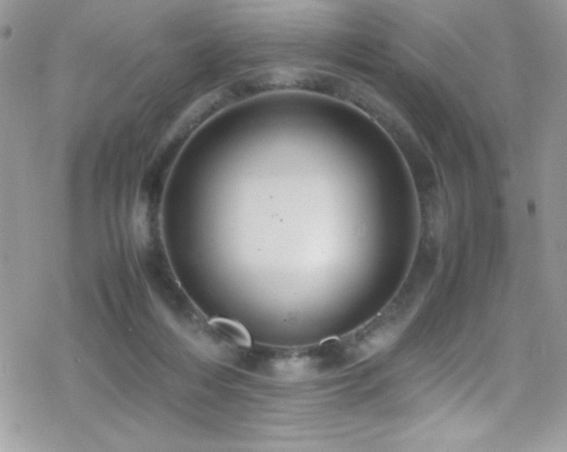 X0000070410216200606091159