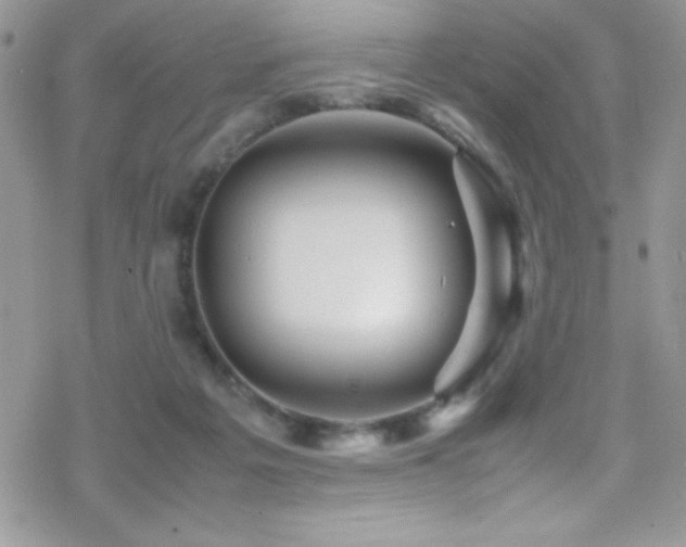 X0000070410217200606091159