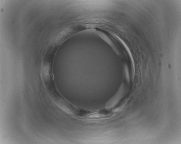 X0000070410219200606091159