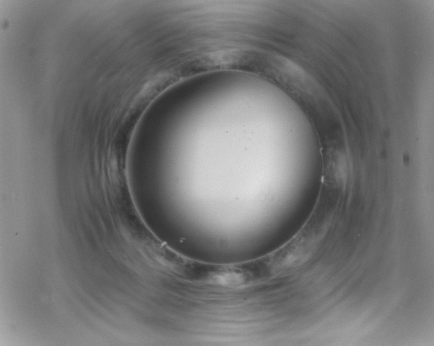 X0000070410220200606091159