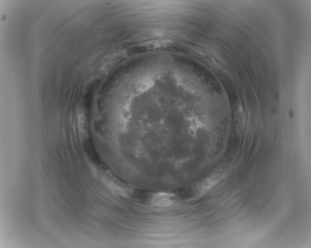 X0000070410222200606091159